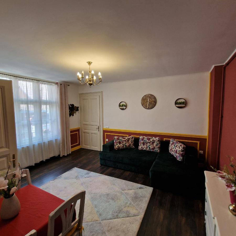 סיגישוארה Central Park Apartment מראה חיצוני תמונה