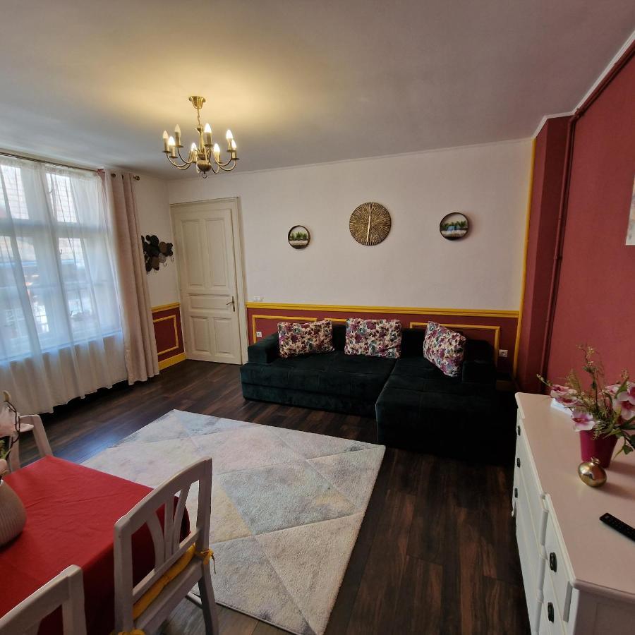 סיגישוארה Central Park Apartment מראה חיצוני תמונה
